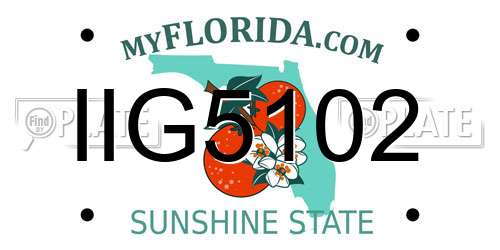 IIG5102 Florida License Plate