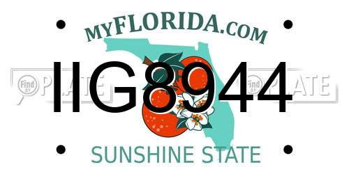 IIG8944 Florida License Plate