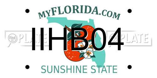 IIHB04 Florida License Plate