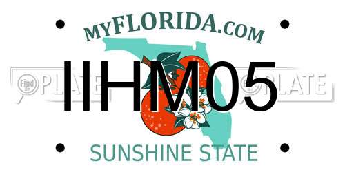 IIHM05 Florida License Plate