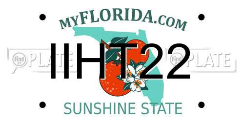 IIHT22 Florida License Plate