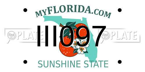 III097 Florida License Plate