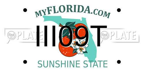 III09T Florida License Plate
