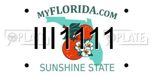 III1111 Florida License Plate