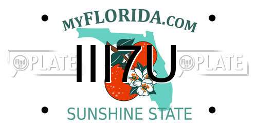 III7U Florida License Plate