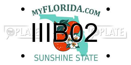 IIIB02 Florida License Plate
