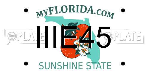IIIE45 Florida License Plate