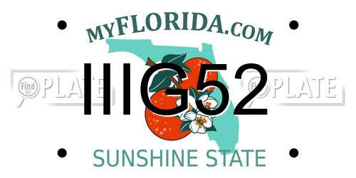 IIIG52 Florida License Plate