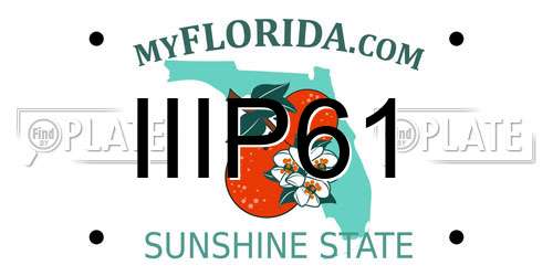 IIIP61 Florida License Plate