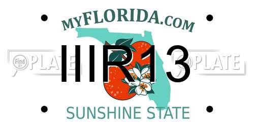 IIIR13 Florida License Plate