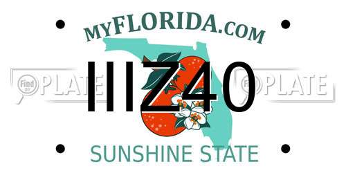 IIIZ40 Florida License Plate