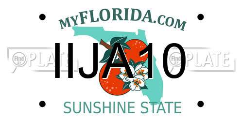 IIJA10 Florida License Plate