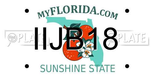 IIJB18 Florida License Plate