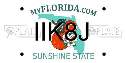IIK8J Florida License Plate