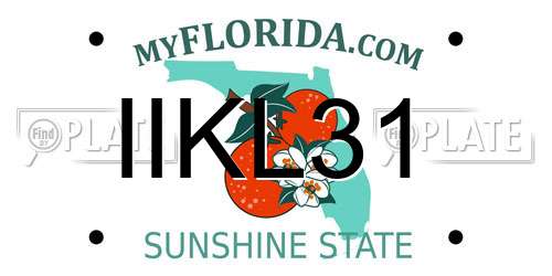 IIKL31 Florida License Plate