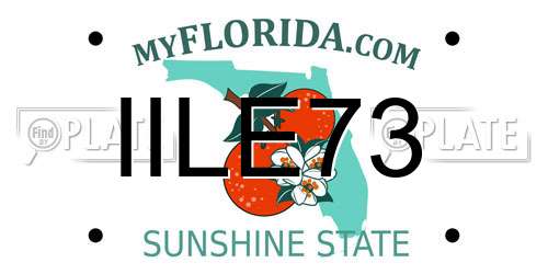 IILE73 Florida License Plate