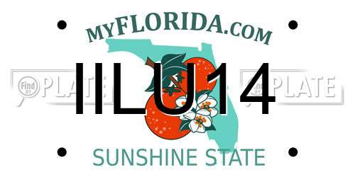 IILU14 Florida License Plate
