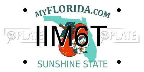 IIM6T Florida License Plate