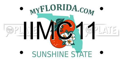 IIMC11 Florida License Plate