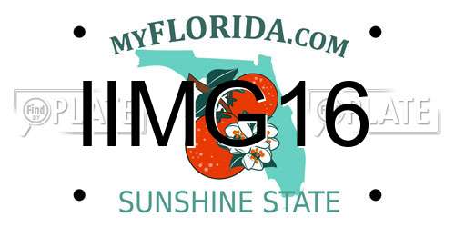 IIMG16 Florida License Plate
