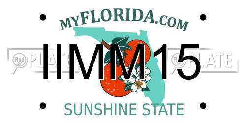 IIMM15 Florida License Plate