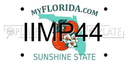 IIMP44 Florida License Plate