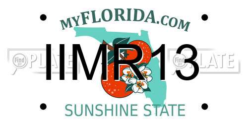IIMR13 Florida License Plate