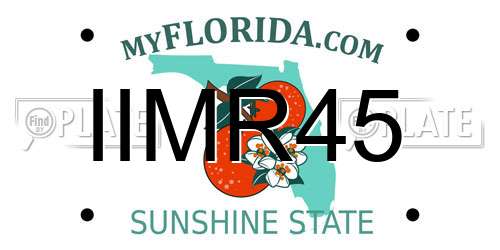 IIMR45 Florida License Plate