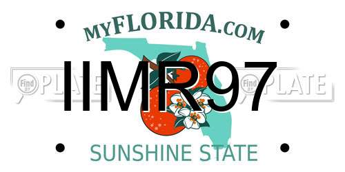 IIMR97 Florida License Plate