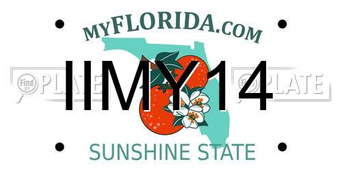 IIMY14 Florida License Plate
