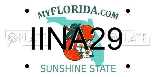 IINA29 Florida License Plate