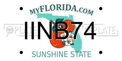 IINB74 Florida License Plate