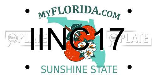 IINC17 Florida License Plate
