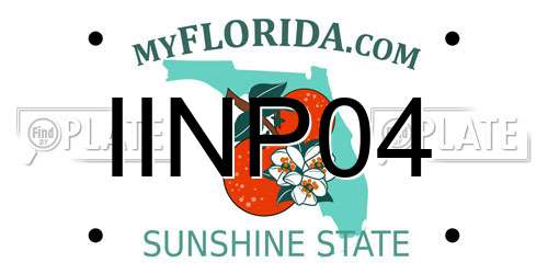 IINP04 Florida License Plate