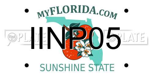 IINP05 Florida License Plate