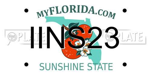 IINS23 Florida License Plate