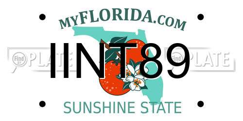 IINT89 Florida License Plate