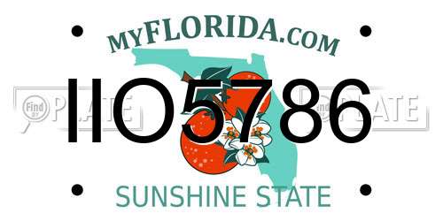 IIO5786 Florida License Plate