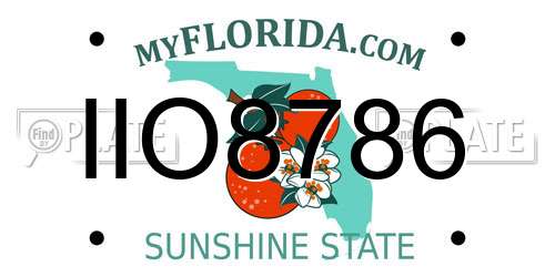 IIO8786 Florida License Plate