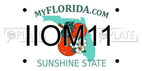 IIOM11 Florida License Plate
