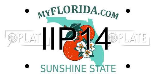 IIP14 Florida License Plate