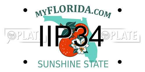 IIP34 Florida License Plate