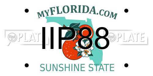 IIP88 Florida License Plate