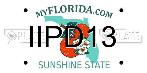 IIPD13 Florida License Plate