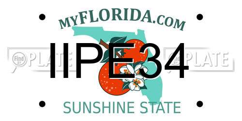 IIPE34 Florida License Plate