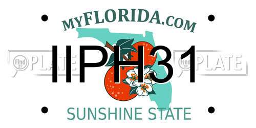 IIPH31 Florida License Plate