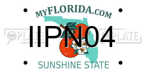 IIPN04 Florida License Plate