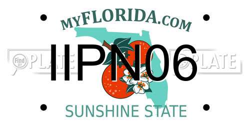 IIPN06 Florida License Plate