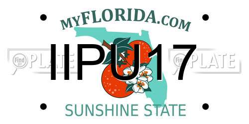IIPU17 Florida License Plate