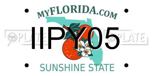 IIPY05 Florida License Plate